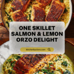 One Skillet Salmon with Lemon Orzo Recipe