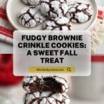 Brownie Crinkle Cookies Recipe