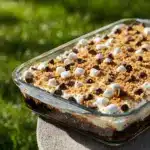 S'mores Poke Cake Recipe