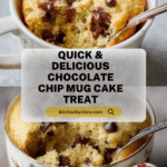 Chocolate Chip Mug Cake Recipe