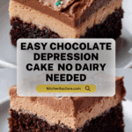 Chocolate Depression Cake - No Milk, Eggs or Butter Recipe