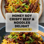Honey Soy Crispy Beef and Noodles Recipe