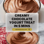 Chocolate Yogurt Recipe
