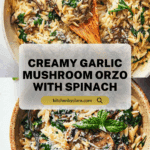 Creamy Garlic Mushroom Orzo Recipe