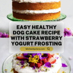 Healthy Dog Cake Recipe