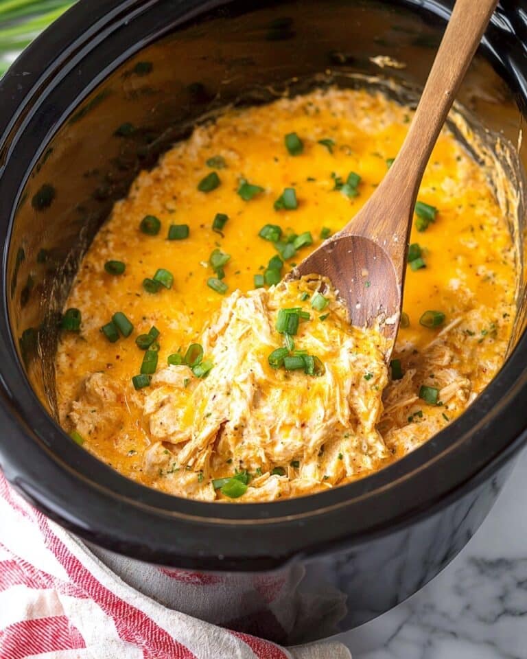 Crockpot Buffalo Chicken Dip Recipe