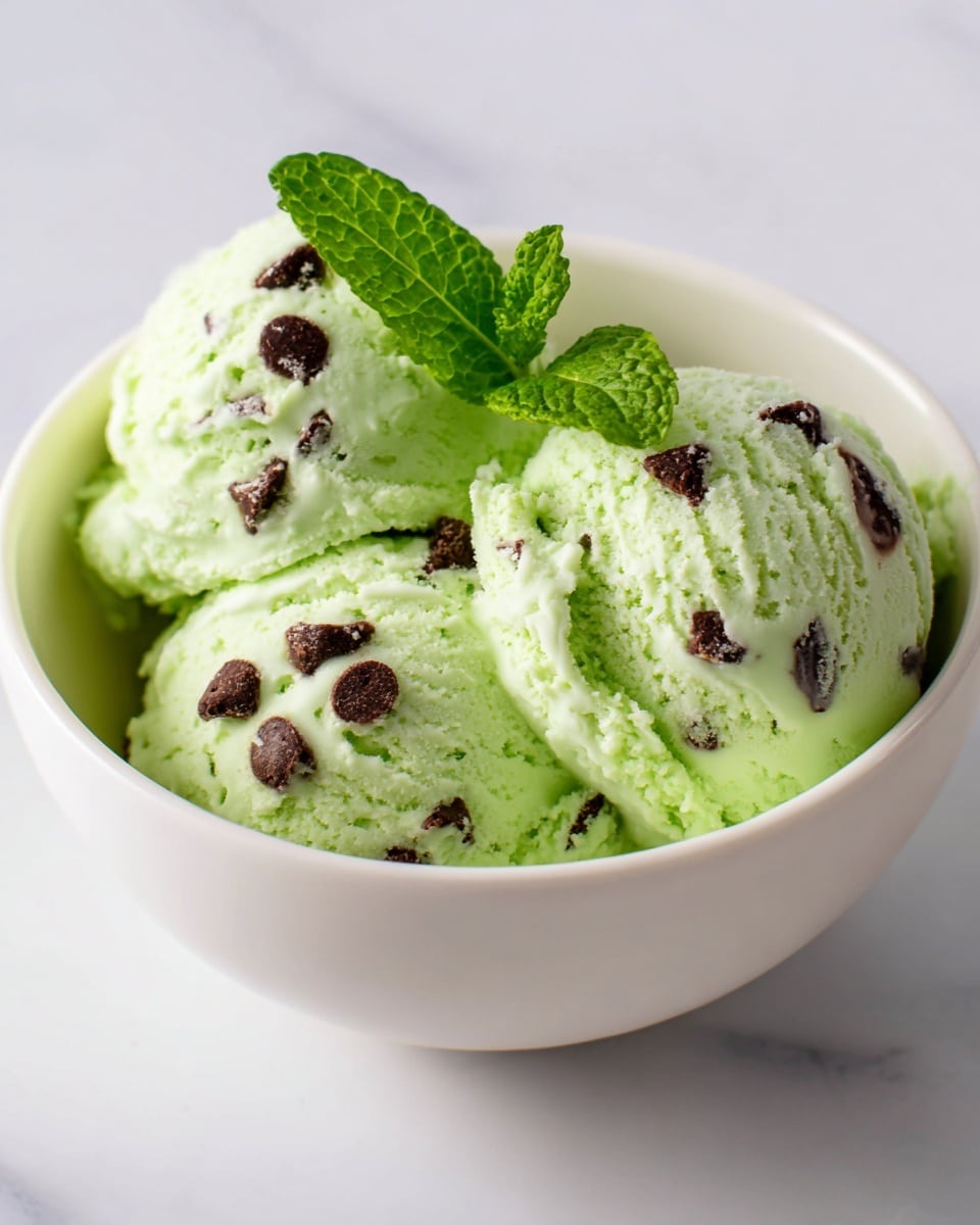 Ninja Creami Mint Chocolate Chip Ice Cream Recipe
