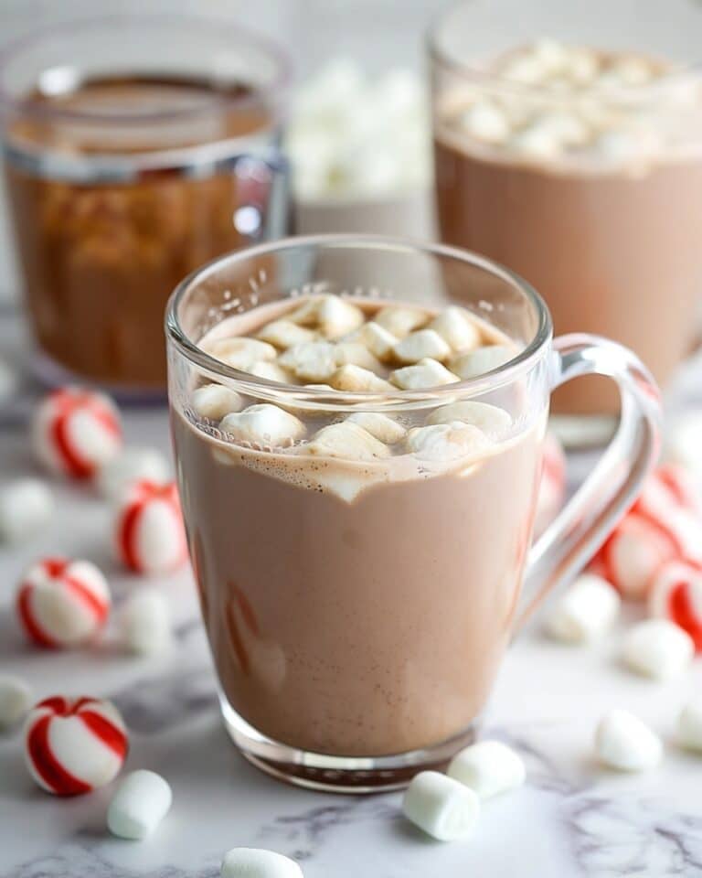 Homemade Hot Chocolate Mix Recipe